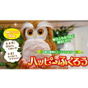 超ポイントバック祭 ポイントバック最大22倍★クーポンで500円OFF! 開運アドバイザーハッピーふくろう※沖縄・離島は不可