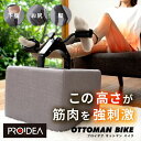 31日間ポイント5倍 加算中!【3000円OFFクーポン対象】★プロイデア オットマン バイク グレー 0070-4151 00「正規品」株式会社ドリーム※メー...