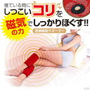 ■5月は追加ポイント5倍!進呈★クーポンで300円OFF!マグネッカーDX ふくらはぎ・すね用 0070-1248 00「正規品」ドリームメーカーから直送(北海...