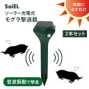超ポイントバック祭 ポイントバック最大22倍★ソーラー充電式モグラ撃退器 2本セットSLI-MG255W 「正規品」SaiEL メーカー保証付き※メーカーから直送(代引き不可・沖縄離島は送料別途)新商品