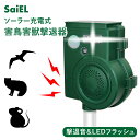 超ポイントバック祭 ポイントバック最大22倍★ソーラー充電式害鳥害獣撃退器 SLI-SCR210 「正規品」SaiEL メーカー保証付き※メーカーから直送(代引き不可・沖縄離島は送料別途)新商品