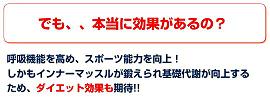 パワーブリーズプラス標準負荷グリーン◎即納します【あす楽対応エリア拡大!】(父)(敬)