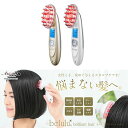 美ルル ブリリアントヘアー　KRD1046正規品　1年保証　(品名を「電気製品」で配送) （※沖縄及び離島へのお届け不可）