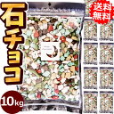 業務用石そっくりチョコ10kg【送料無料】［クラブ bar バー スナック などのチャームやつきだしに 石チョコ 大袋 大量 おもしろ 石っころチョコ 大容量 お菓子 ホワイトデー 義理チョコ 友チョコ お返し 景品 面白い 月の小石チョコレート まとめ買い サプライズ］の商品画像