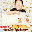 ［完成品］業務用ポップコーン シュガー味 1kg　約30人分　アレルギーフリー［レンタル、ポップコーンマシーン不要で手軽に出店］［景品 子供 子供会 お菓子 二次会 フレーバー　材料　お菓子 サプライズ　メーカー直送　パーティー］