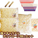 ［完成品］イベントポップコーン 200人分セット 専用袋付【キャラメル3kg(2kg 1kg) 100人分 塩味2kg(1kg×2） 100人分 三角袋200枚（青.赤） モールタイ200本付】［バザー 食べ物 業務用 縁日 景品 子供 子供会 お菓子 キャラメルポップコーン 材料 簡単 ］