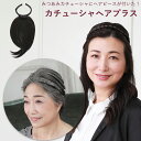 カチューシャヘアプラス 三つ編みタイプ カチューシャ 白髪かくし つけ毛 三つ編み ヘアピース カバーピース 付け髪 白髪隠し つむじかくし 薄毛かくし 部分つけ毛 部分ウィッグ 付け毛 つけ髪 ミセス シニア 白髪カラー 和装 フォーマル ヘアアクセサリー プリシラ PG-10