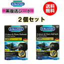 2個セット ドクターベックマン 黒復活シート 衣類の黒色よみがえる 毛羽立ち除去 ブラック& ファイバーリフレッシュ 10枚入 正規輸入品 送料無料