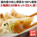 送料無料 (3種類110個) 22人前 本格生餃子 セット 詰め合わせ 冷凍餃子 冷凍生餃子 生餃子 冷凍食品 食品 惣菜 中華惣菜 点心 中華 中華点心 グル...