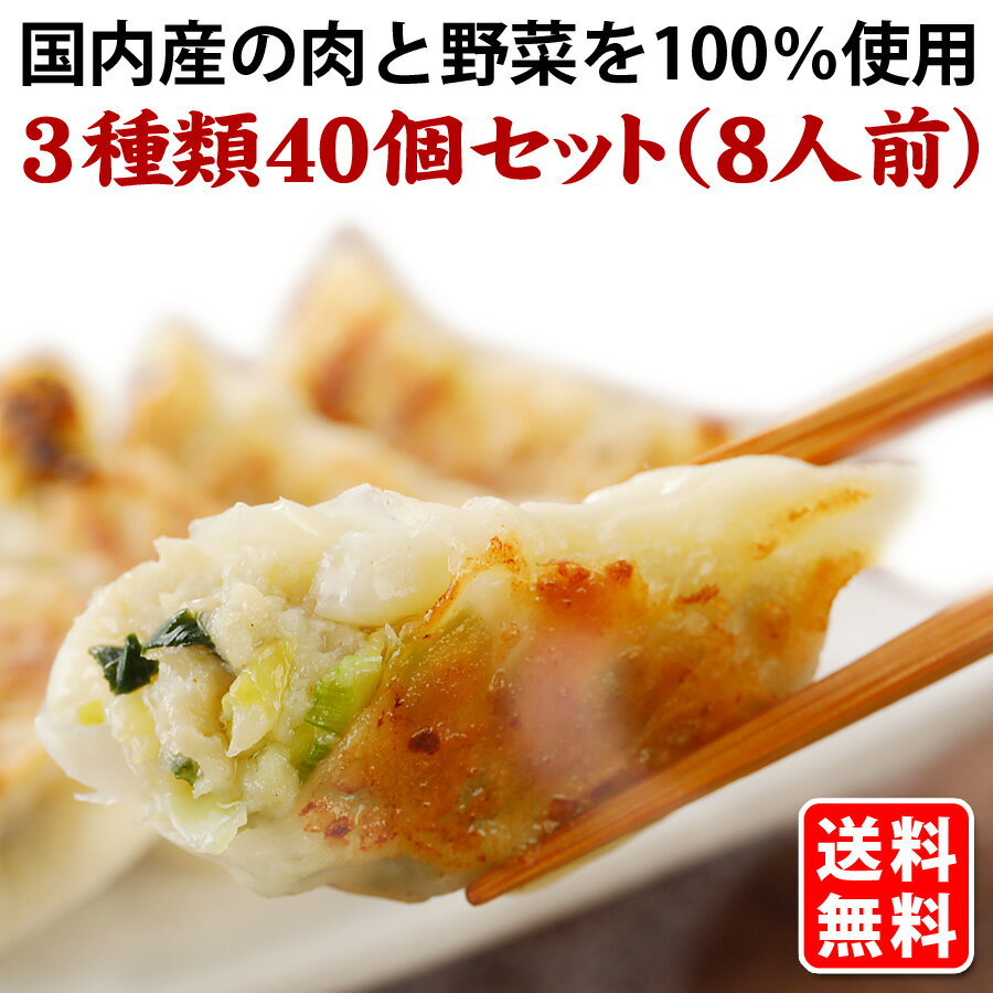 送料無料 (3種類40個) 8人前 本格生餃子 セット 詰め合わせ 冷凍餃子 冷凍生餃子 生餃子 冷凍食品 食品 惣菜 中華惣菜 点心 中華 中華点心 グルメ ...