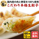 bibigo ビビゴ 水餃子（マンドゥ） 肉＆野菜 800g 韓国餃子 コストコ冷凍食品
