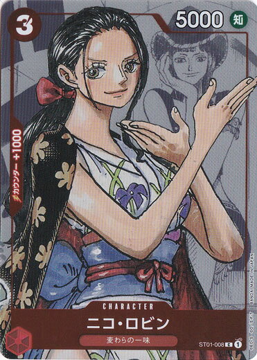 ˥ӥ ʥѥ C ST01-008