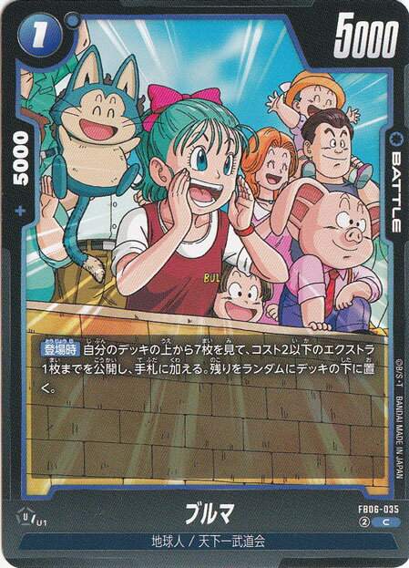 ブルマ C FB06-035