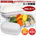 \ポイント10倍/【在庫限り値下しました】弁当箱 保温 電気 2段 保温弁当箱 炊飯器 箸付き スプーン付き 二段 大容量 加熱式 弁当箱炊飯器 保温ジャー 弁当 箱 ランチボックス ランチジャー 丼 お弁当箱 丼ぶり 大人 子供 女子 男子 女性 男性 BWS-DSJ01