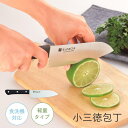 小三徳包丁 刃渡り 145mm 包丁 小さ目 小さい 14.5cm 三徳包丁 小型 ナイフ 食洗機 軽量 コンパクト 軽い 切れる 持続 女性 万能包丁 ステン...