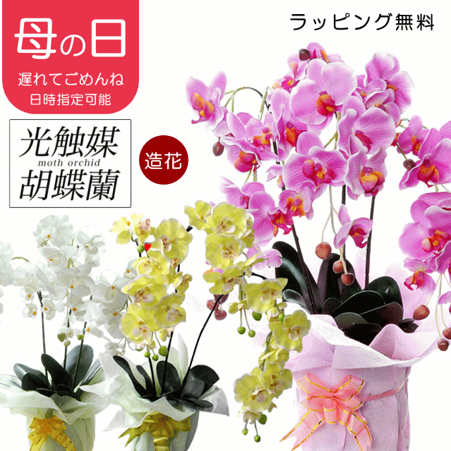 【母の日日時指定可能】光触媒 胡蝶蘭 3本立 造花 母の日 花 ギフト プレゼント 誕生日 父の日 お祝い 開店祝い ラッピング 無料 母の日ギフト こちょうらん コチョウラン かわいい おしゃれ