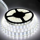 高輝度LEDテープライト 5m 防水 24V 600連SMD5050 二列式 カバー付 白 ホワイト 白ベース 正面発光 漁船/船舶/トラック/屋外照明/led間接照明