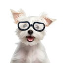 Enjoying Dog サングラス 小型犬 UV保護 ドッグゴーグル アイウェア 防風 曇り止め ドッグシェード 小型犬用 約5ポンド以上 クリア