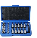 HYCDIYTS トルクスビットソケットセット 29点 E&T型トルクスソケット トルクスネジ用ビットセット 花形 星形 1/4" 3/8" 1/2" トルクスソケットレンチ メンテナンス 整備 修理 専用ケース付き (ブルー)