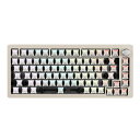 DrunkDeerA75 ラピッドトリガー メカニカルキーボード 82...(2)