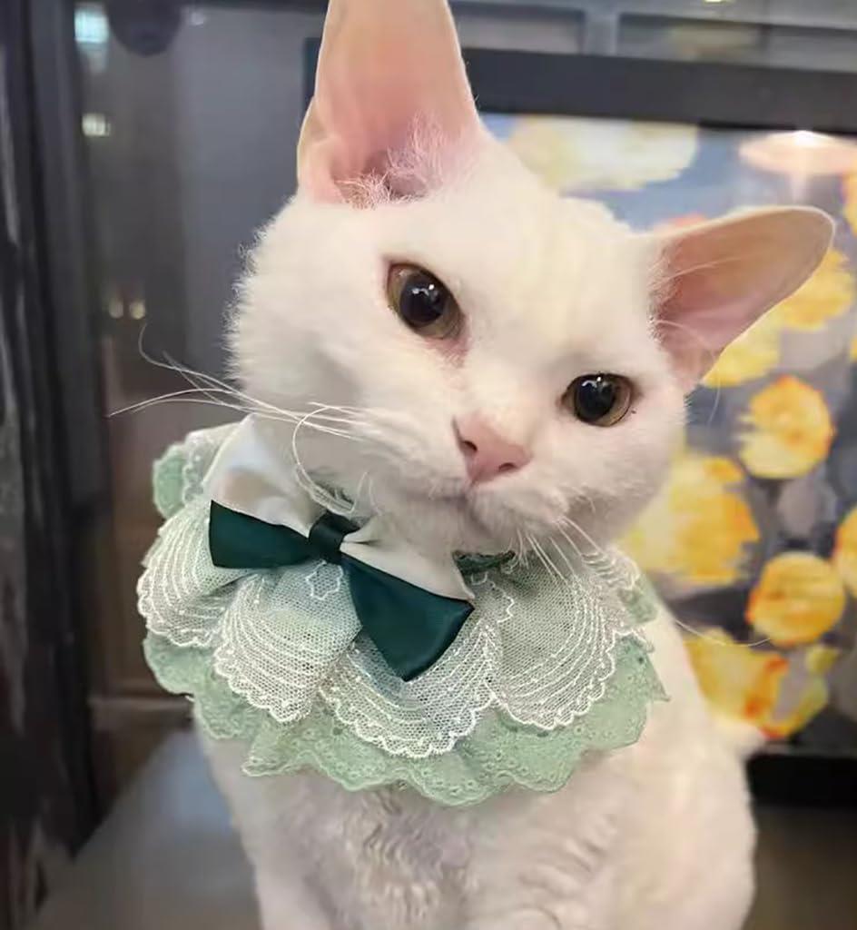 WEILFYONK 猫犬首輪猫唾液タオル首輪猫服犬服手作りレースペットアクセサリー写真背景ペット用品可愛い..