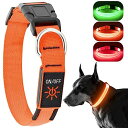 KOSKILL LED光る首輪 犬用 散歩 夜 ライト USB充電式 小型犬 中型犬 大型犬 安全性 サイズ調整可能 視認距離500mで夜間も安心(オレンジ, ...