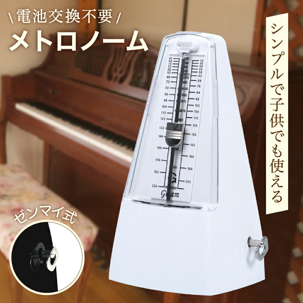 �ڥ�ӥ塼�ץ쥼��ȡۥ�ȥ��Ρ��� ����� �ڴ� ������ ������ ����ѥ��� �ԥ��� ������ 11.7��20.3cm (�ۥ磻��)