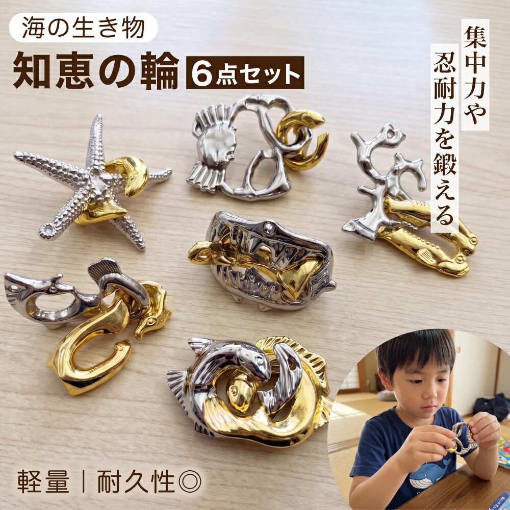 知恵の輪 セット 難しい パズル 大人 子供 おもしろ 暇つぶし 謎解き グッズ 6点セット