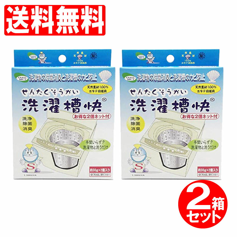 洗濯槽快ネット付30g×2個入りパック2箱セット洗濯槽用洗剤カビ取り消臭除菌ホタテほたてカルシウム洗濯物テイクネット送料無料