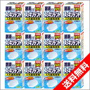 スッキリデント 入れ歯洗浄剤 120錠×12箱セット(総入れ歯用・酵素入り)日本製 ミントの香り ライオンケミカル お徳パック