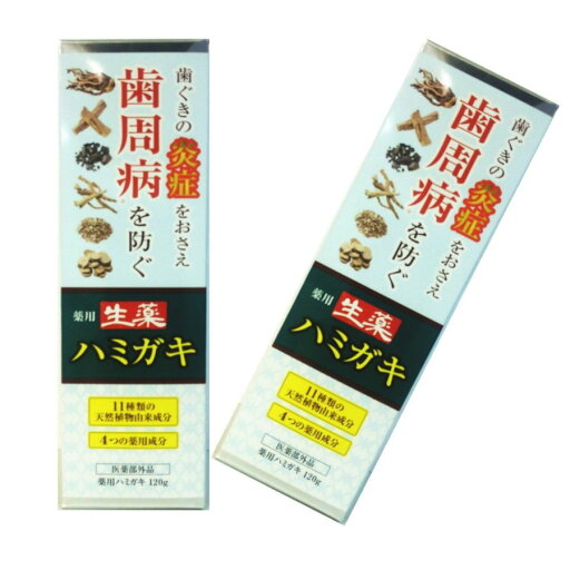 生薬 はみがき 薬用ハミガキ 120gx2本セット 医薬部外品 生薬 はみがき 薬用ハミガキ 120gx2本セット 医薬部外品