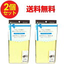 コルセット 産後 スタイリッシュコルセット 3Lサイズ リフォームインナー 2個セット 送料無料 1