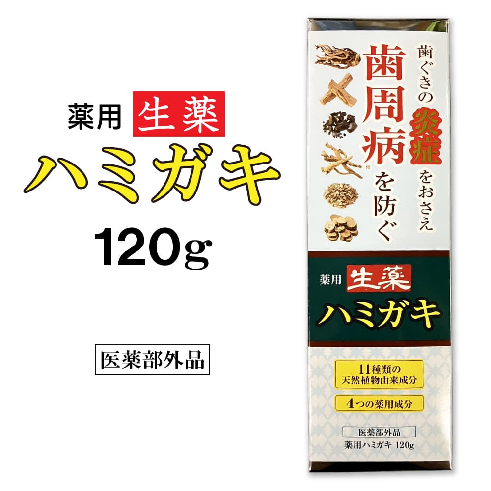 生薬 はみがき 薬用ハミガキ 120g 医薬部外品
