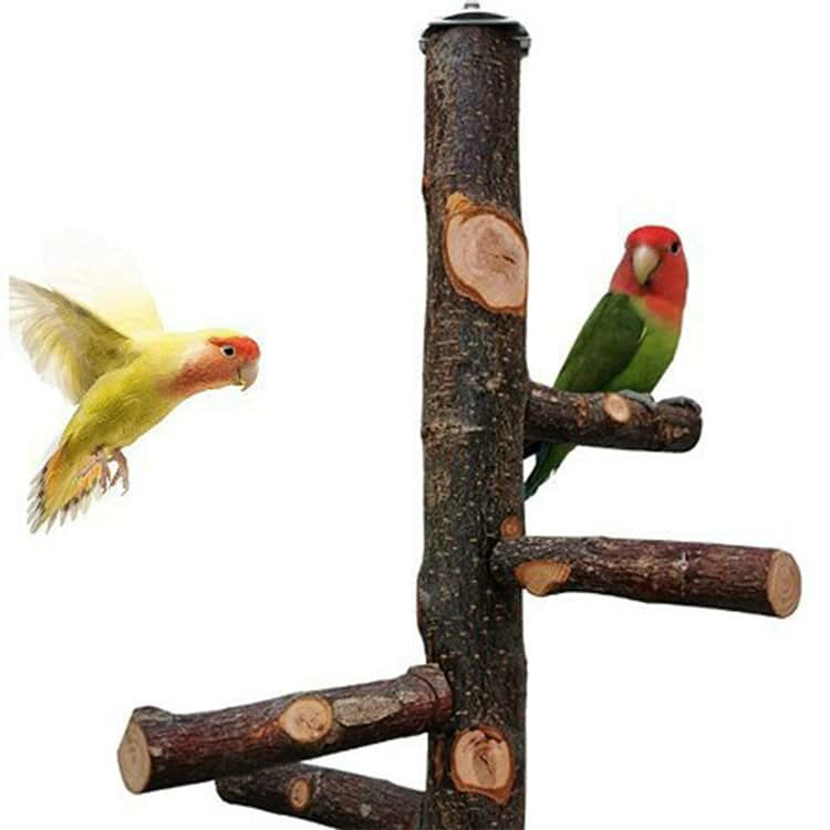 インコ 鳥 枝 爪とぎ リンゴの木 文鳥 止まり木 自然木 パーチ 多頭 十姉妹 止まり...