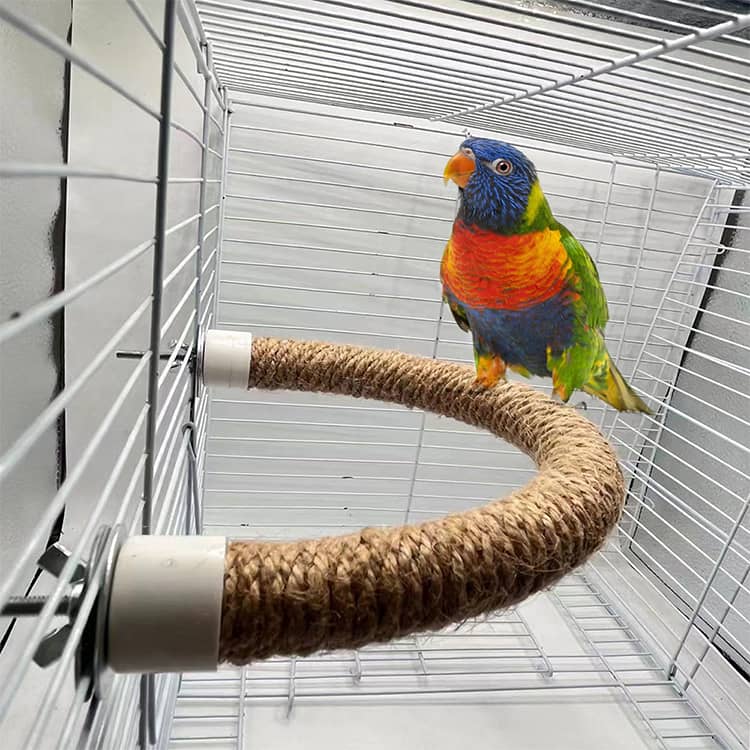 くちばし棒 鳥 2点入り インコ 止まり木 鳥かごパーツ やすり オウムの立ち棒 爪と...