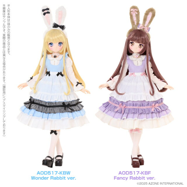 アゾン 1/3スケール用ウェア AZO2 エナメルバニーガールset