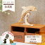 Wooden Art ki-gu-mi 륫 ñ  åɥѥ ΩΥѥ ե Ƶ٤  ץ쥼 ޥ |kigumi   ץ쥼 Ҷ ˤλ λ ΰ ѥ ƥꥢ  ƥꥢ  襤 å ɥե  ơפ򸫤