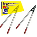 アルスコーポレーション|ARS <2本セット品>LPB-30L 太枝切り鋏 ロッパーL|法人様限定