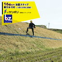 サンポリ|<16個セット>法面ステップ 楽カル100 杭48本付き(奥行120×幅1000×高さ180mm)|法人様限定