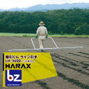 ハラックス HARAX 播種資材 線引くん LH-3600 ピン6本付き(増減可) 播種時などに使用する畑の線引き 法人様限定