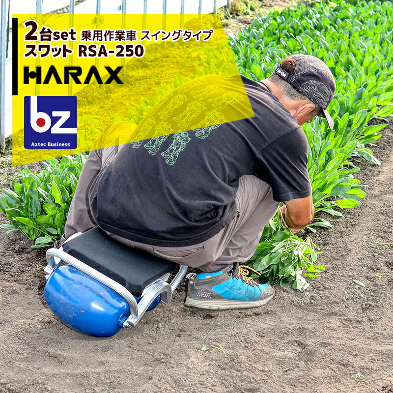 【6/1限定 最大ポイント6倍 エントリー必須】ハラックス｜＜2台set品＞HARAX 乗用作業車 スワット スイングタイプ RSA-250｜法人様限定