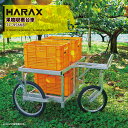ハラックス|<2台セット品>HARAX 農業用運搬車 果樹収穫台車 収穫器 タナッコ TC-956NB ノーパンクタイヤ 6月末出荷予定|法人様限定