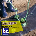 ハラックス|HARAX <2台set品>ウエラック UR-60(2寸ポットまで植付可) 万能移植器(本体ステンレス製)|法人様限定