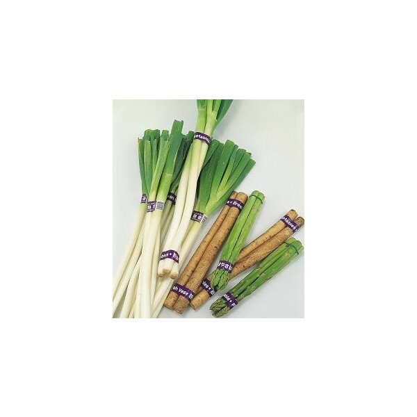 MAX �ޥå��� ��ڷ�«���������å����ץ����2Ϣ�եåȥ����å� ˡ�͡������͸���