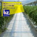 ダイオ化成|<2本セット>防草シート 100cm×100m巻 ダイオグランドシート‐S/黒 抗菌剤無し|法人様限定
