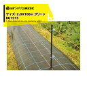 【5/1限定 最大ポイント6倍 エントリー必須】日本ワイドクロス|防草シート <2本セット品>防草アグリシート 巾2.0mX長さ100m グリーン BG1515...