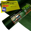 DuPont|<2本セット品>防草シート ザバーン136G 2mx50m グリーン XA-136G2.0 スタンダードタイプ|法人様限定
