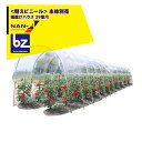 ナンエイ|南栄工業 <オプション>純正替ビニール 雨よけハウス 29型用 ビニールハウス 温室|法人様限定
