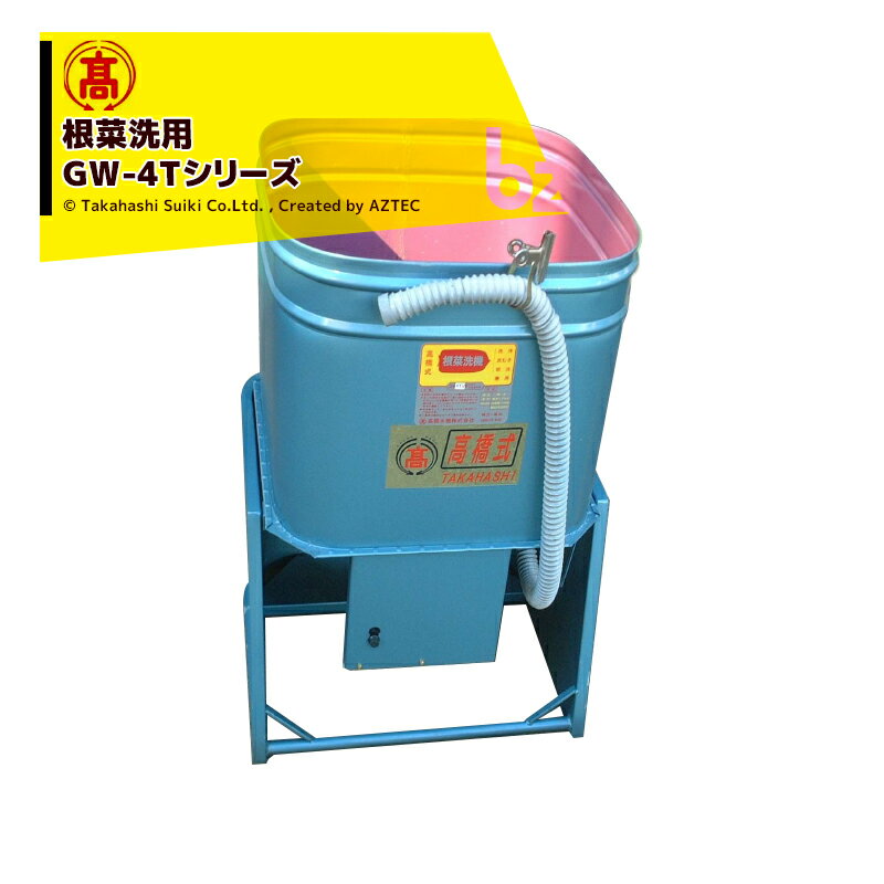 tsi-gw4t-bz.jpg