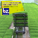 矢崎化工 レールシステム トロッコ+トロッコ枠(15枚)+10間レールセット 法人様限定